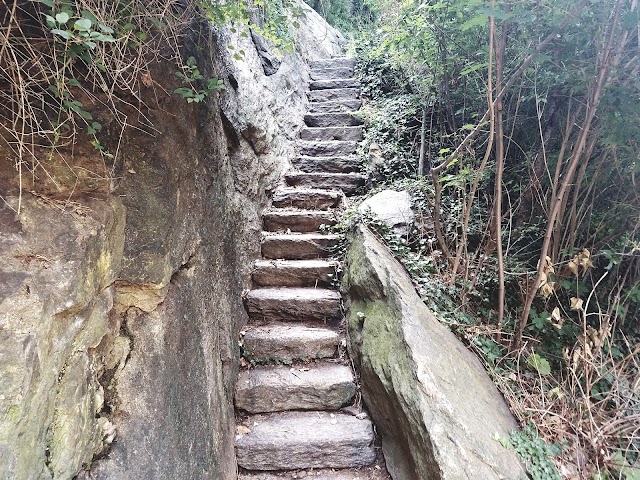 Fort Tryon Park