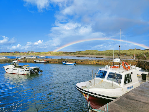 Beadnell Harbour Gallery - United Kingdom