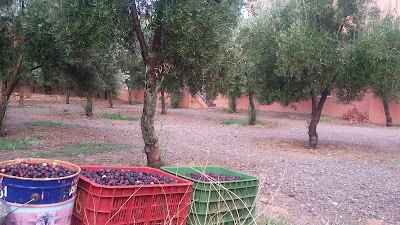 Photos of Camping Toubkal
