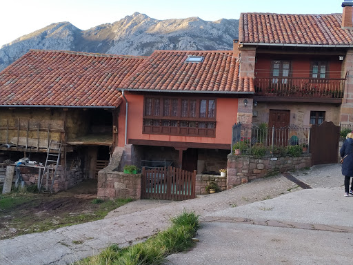 Piñeres -C - Visual