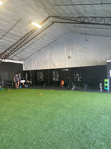 Impact Performance Training 2 - Visual