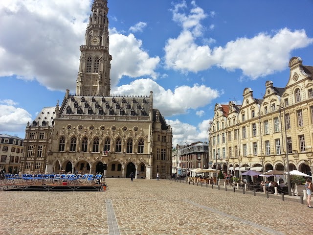 Arras