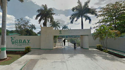 Escuela Preparatoria Cobay Gallery - Mexico