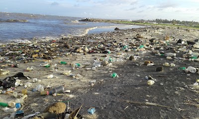 Photos of Crow Island Beach Park