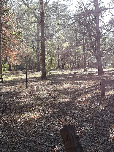 Black Creek Hiking Trailhead + parking area - Thumbnail