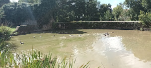 Photo n°4 de Le Petit Manoir de la Berthenlaire à Baincthun (Chambre d'hôtes)