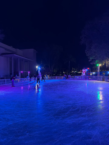 Woodland Hills on Ice by null