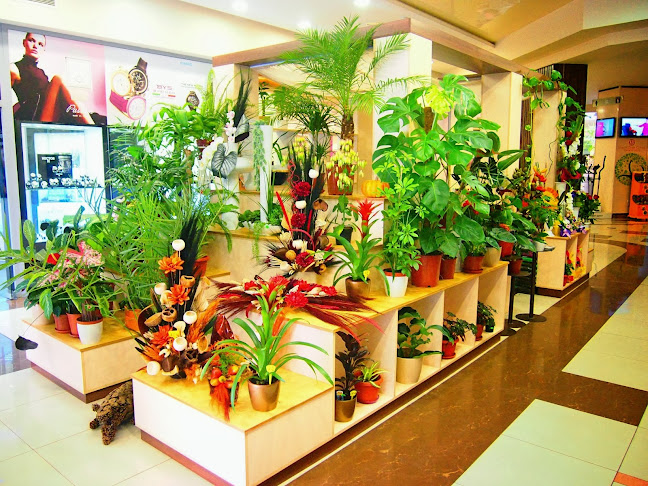 Галакси трейд център - София