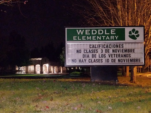Weddle School - Visual