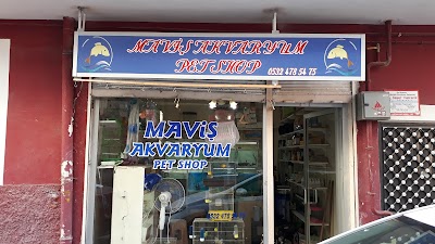 Maviş Akvaryum Pet Shop