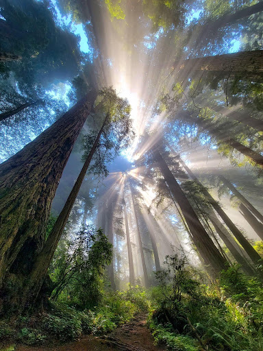 Lake Sundown Gallery - United States