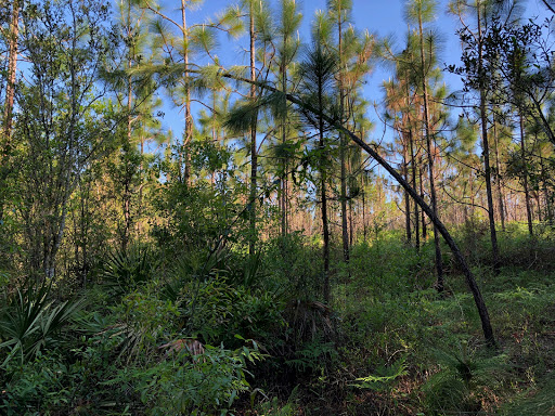 Otto Hill Recreation area