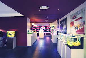 Photo n°2 de Neoquarium à Castagniers (Aquarium)