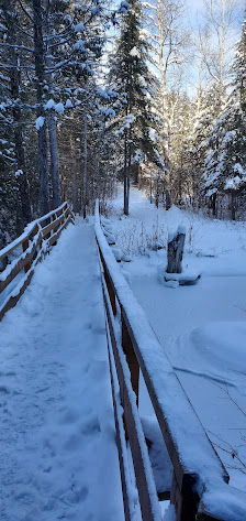 Parc Théodore-Gagné - Ville d'Amqui 0 Rue des Pompes, Amqui, QC G5J 1Y1, Canada