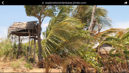 exploration sri lankaise - Thumbnail