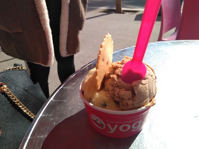 yogart