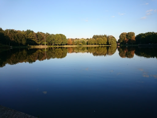 Gorechtpark - Visual