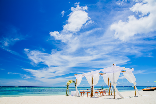 DWD Travel & Destination Weddings