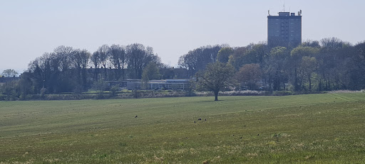 Immanuel School - Visual