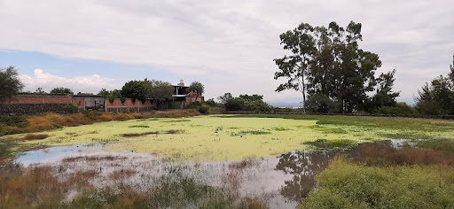 Presa Principal