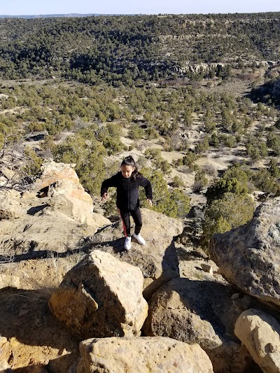 Frances Canyon Navajo Ruins