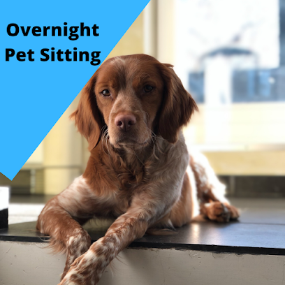 Downtown Pittsburgh Dogs