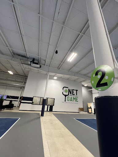 Net Game - Visual