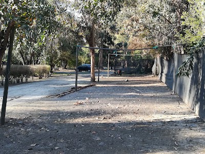Photos of Camping La Isla (Fundo El Toyo)