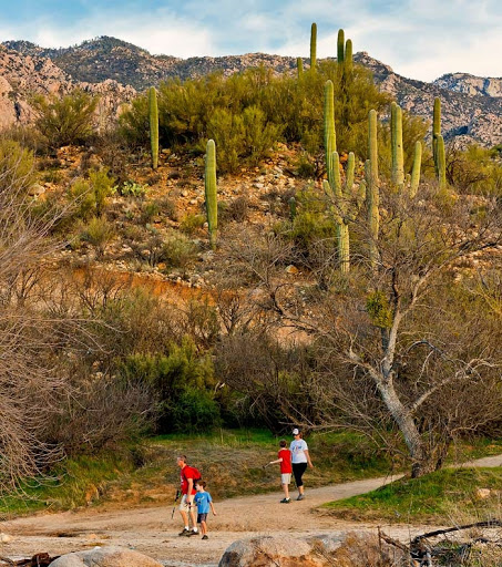 Catalina State Park - Thumbnail