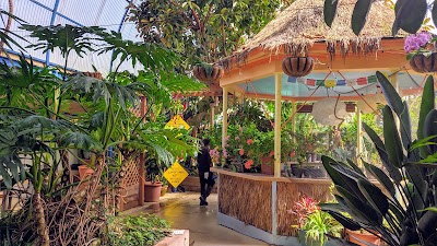 Photos of Indian Hot Springs