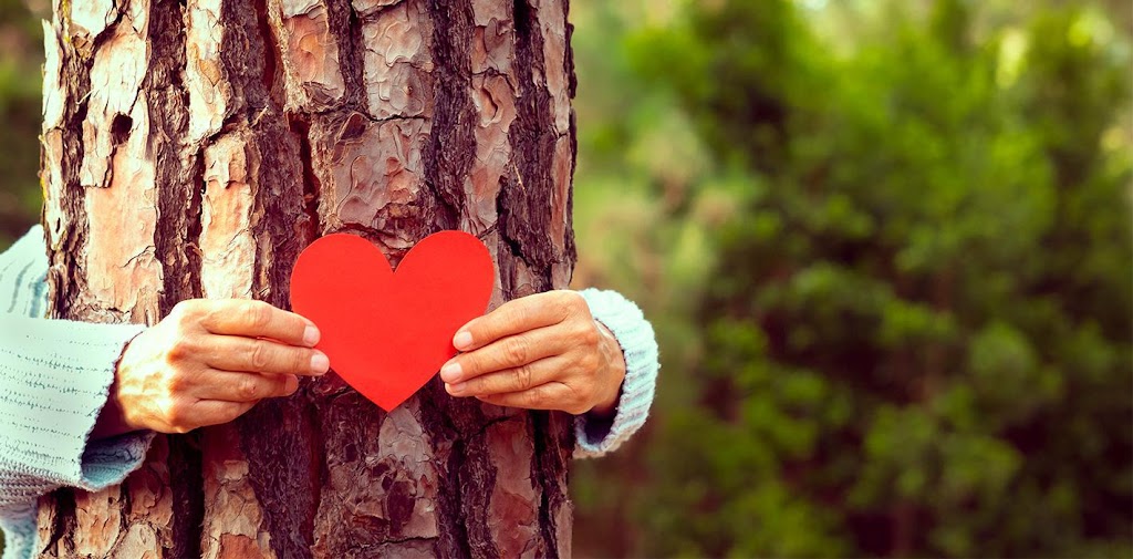 Good Heart Medical Group Inc