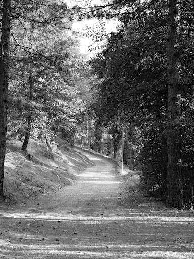 Parco e Anfiteatro Comunale - Thumbnail