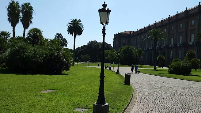 Museo e Real Bosco di Capodimonte by null