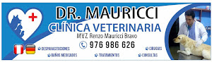 Clínica Veterinaria DR. MAURICCI 8