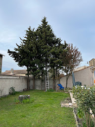 Photo n°10 de Thom Elagage à L'Isle-sur-la-Sorgue (Paysagiste)