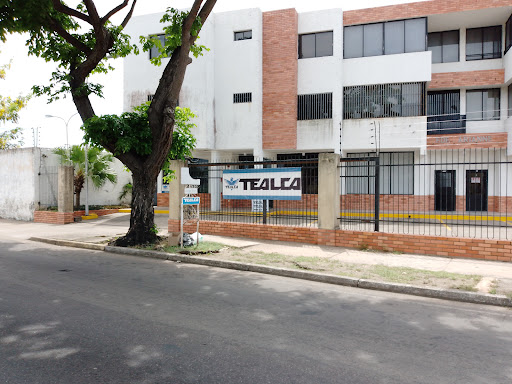 TEALCA Ciudad Bolivar YY