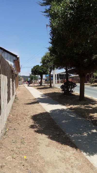 Photos of Liceo Agust&iacute;n Ross Edwards