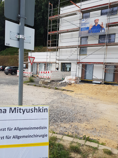 Praxis Mityushkin - Thumbnail
