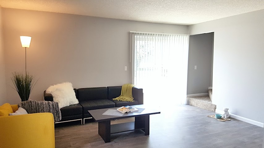 Boulder Gardens by null