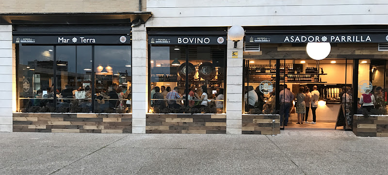 Bovino