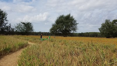 Photos of Aplin Farms