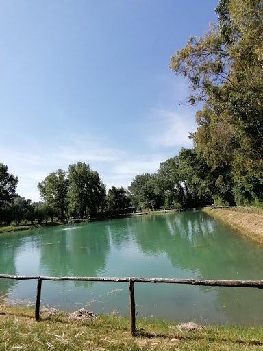 Area Picnic con Lago Pesca Sportiva "Lago Verde" Venafro - Thumbnail