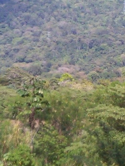 Photos of Palmar Sur Airport