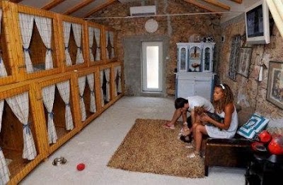 Photos of Monty's Dog Hotel