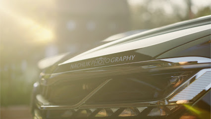 Nachlik Photography // Fotostudio - Katze im Busch - Carsten Nachlik