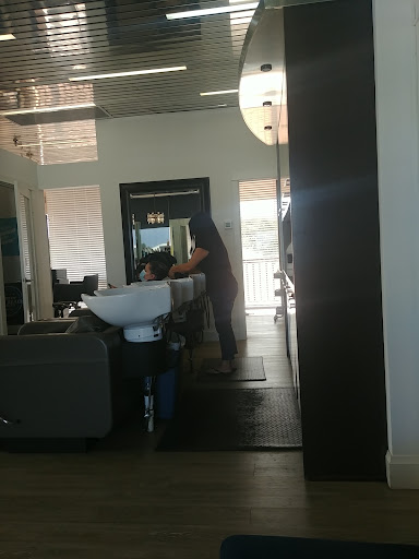 Salon Aquatica - Visual