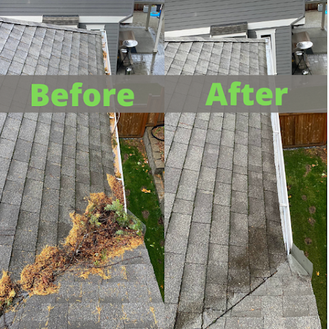 Tyco Professional Window Cleaning