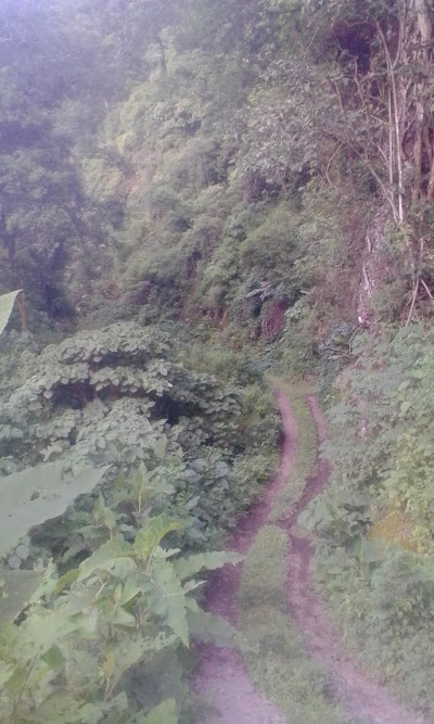 Photos of Panacal - Acatenango