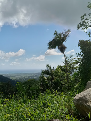 El Patio de San Pedrito - Thumbnail