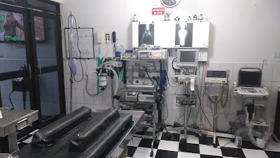 veterinary-care